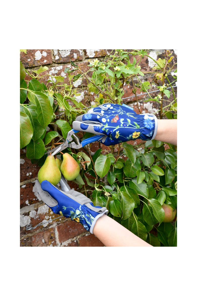 British Meadow Fruit & Flower Snips, Alternate, color, Blue