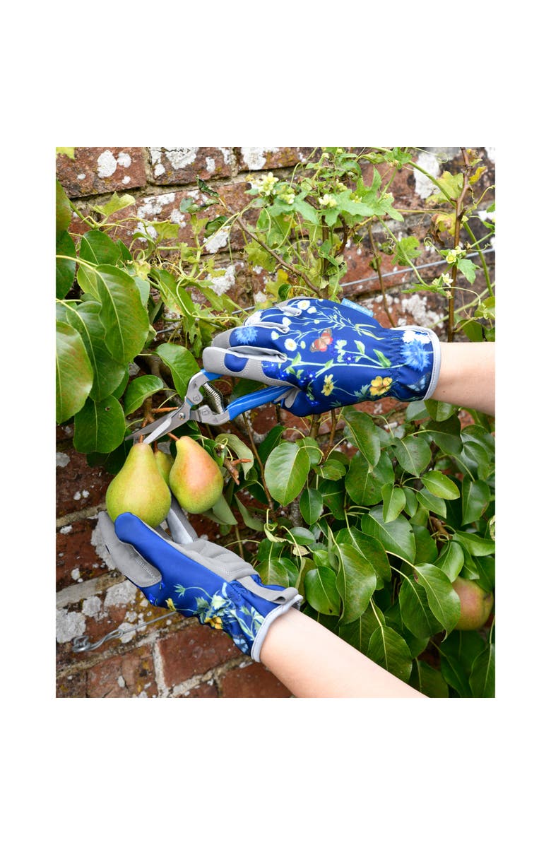 Burgon & Ball British Meadow Fruit & Flower Snips, Alternate, color, Blue