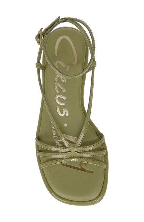 Circus Ny By Sam Edelman Olana Strappy Flat Sandals In Green Fern