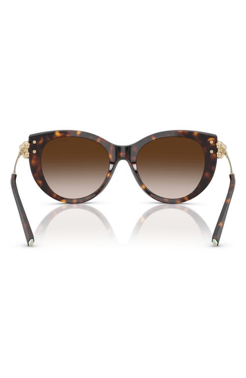 Tiffany & Co . 53mm Gradient Butterfly Sunglasses In Brown
