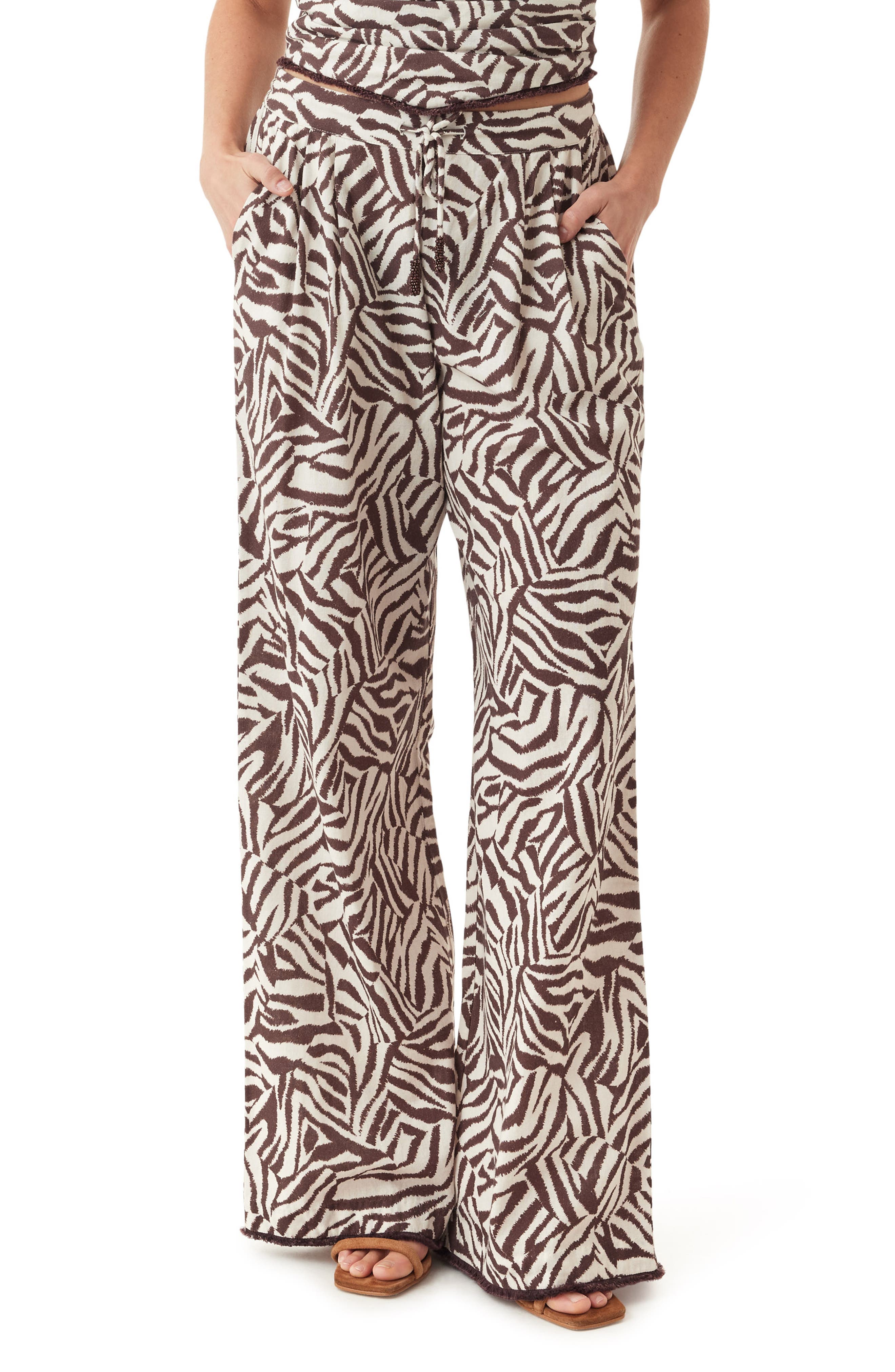 MODERN ZEBRA