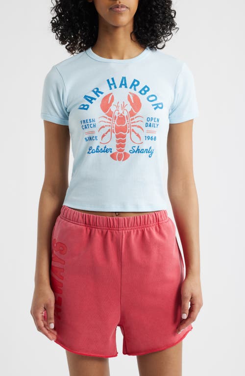 Vinyl Icons Bar Harbor Graphic Baby Tee In Nantucket Breeze