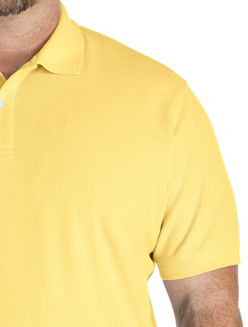 Harbor Bay By Dxl Big & Tall Piqué Polo Shirt In Multi