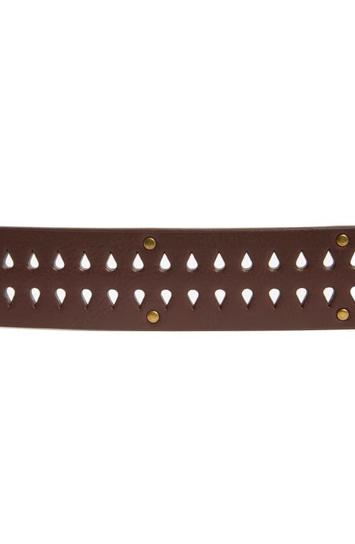 Linea Pelle Perforated Tiny Stud Belt In Brown