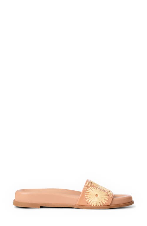 Jack Rogers Somerset Embroidered Slide Sandal