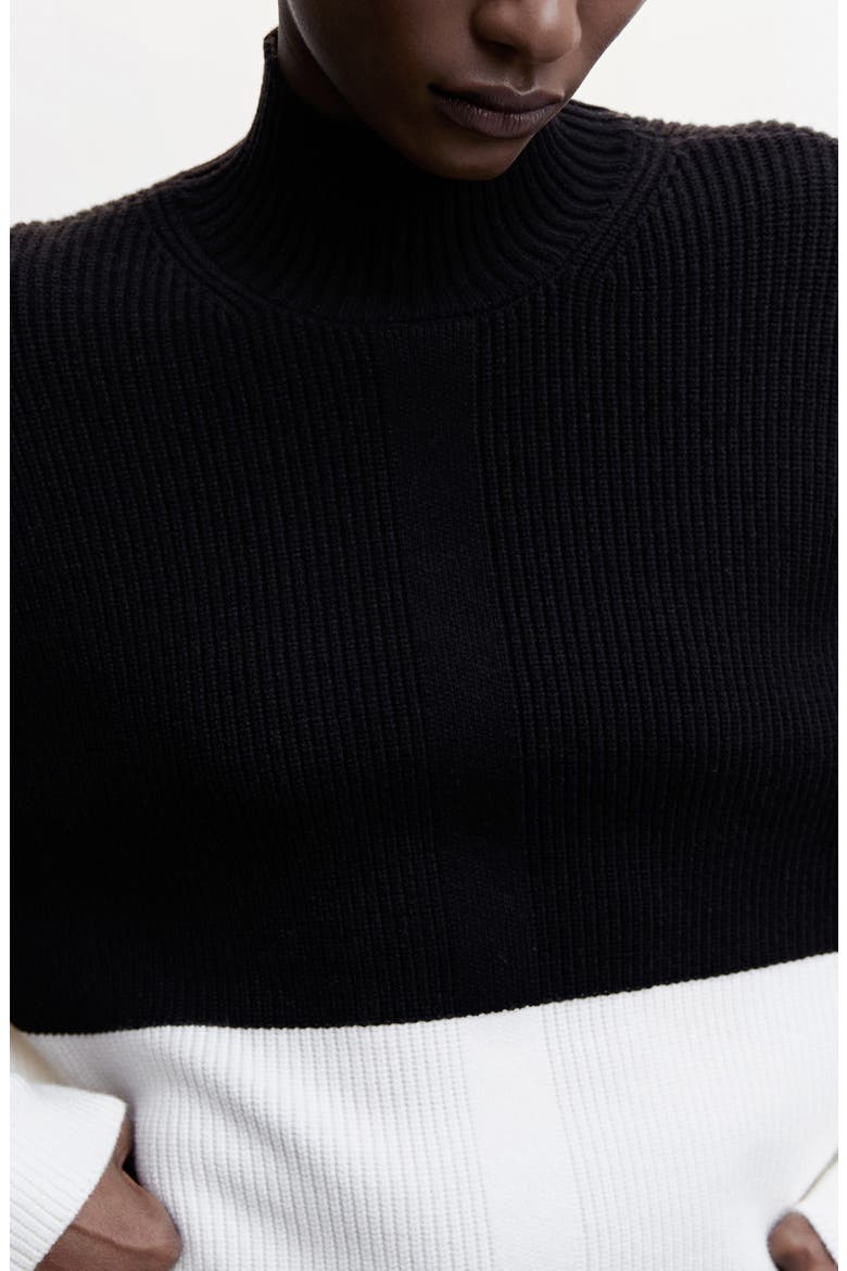 Colorblock Turtleneck Sweater, Alternate, color, BLACK