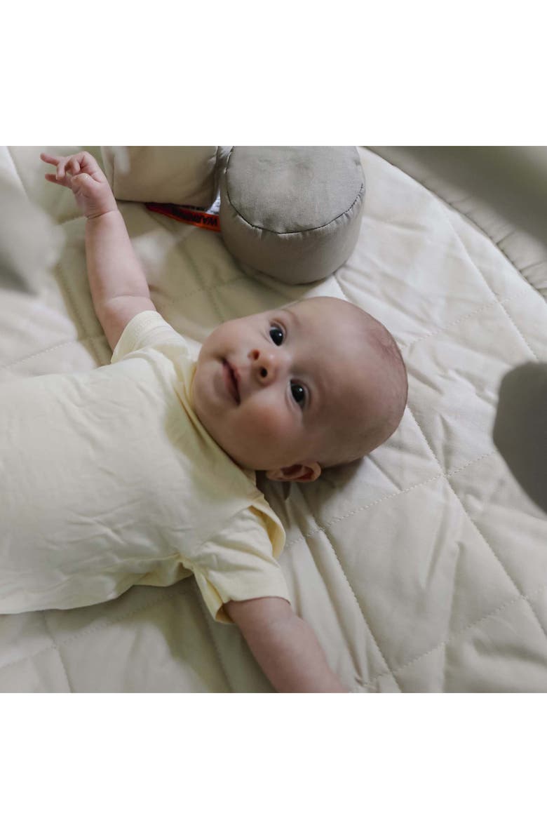 Snuggle Me Play Gym, Alternate, color, Multicolor