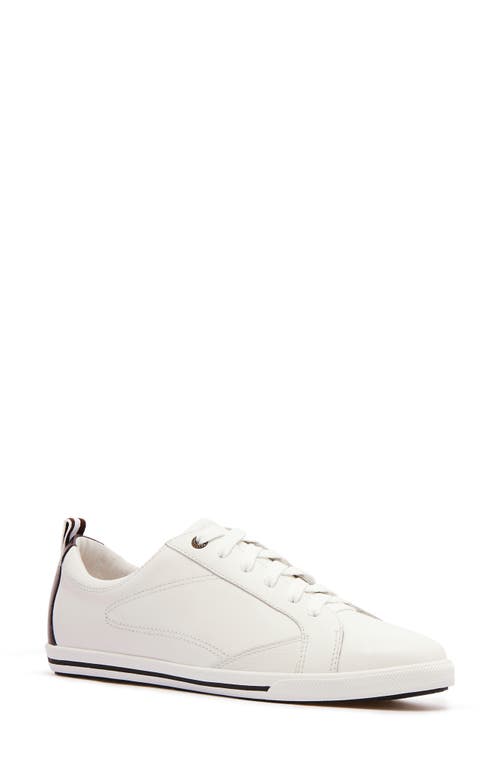 Frankie4 Asher Low Top Sneaker In Multi