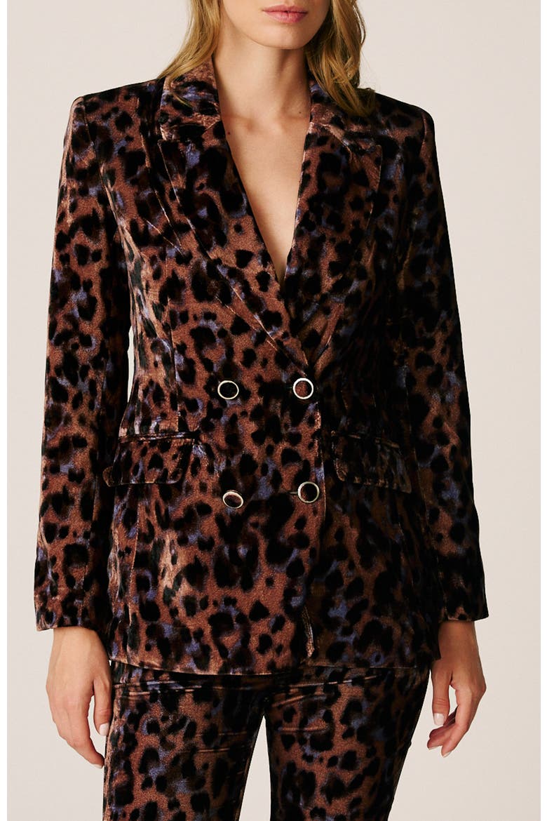 Printed Velvet Blazer, Main, color, Leopard