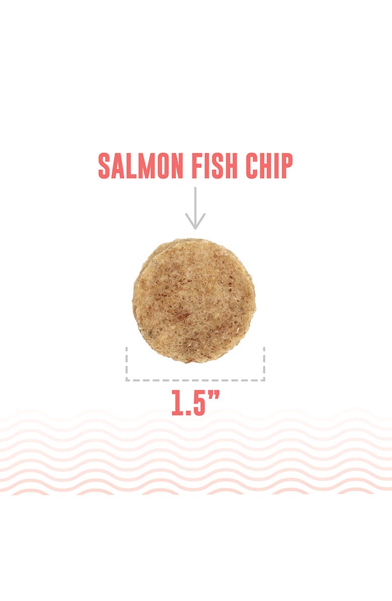 ICELANDIC+ Fish Chips Salmon 2.5Oz Dog Treats, Alternate, color, Multicolored