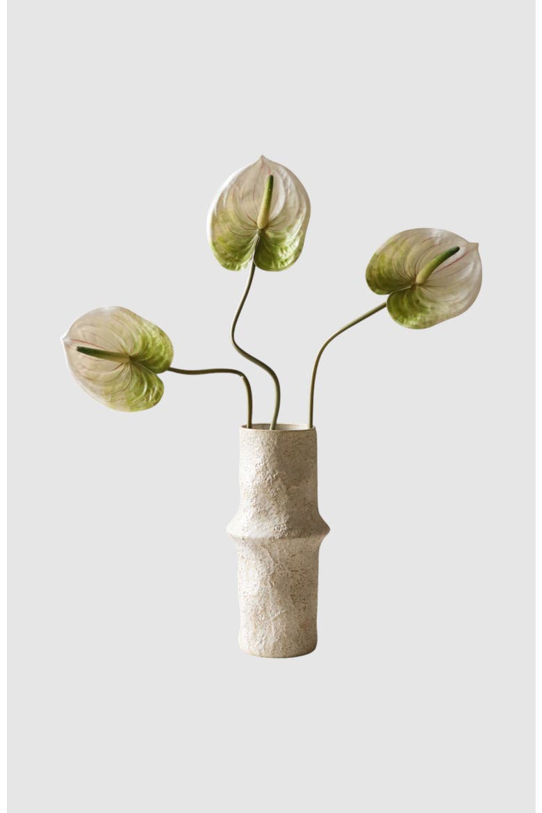 Light Green Anthurium Flower, Alternate, color, White