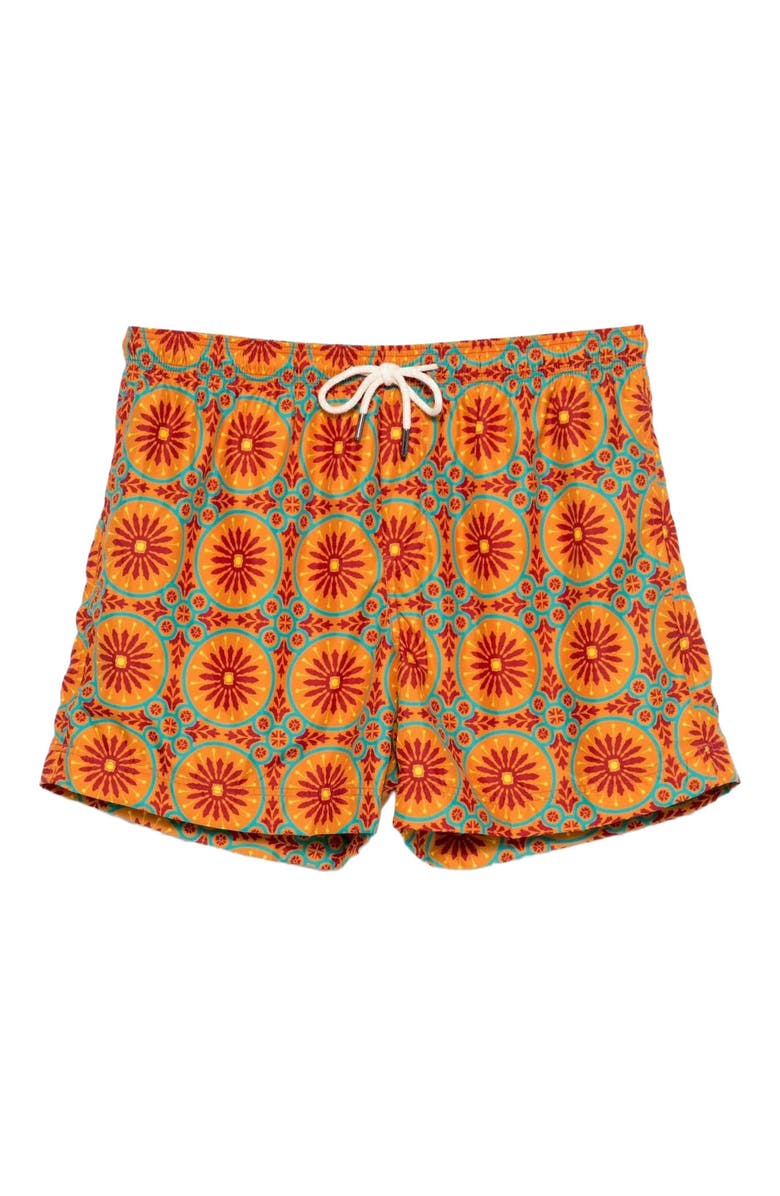 Peninsula Swimwear Spargiotto Swim Shorts, Main, color, Multicolor