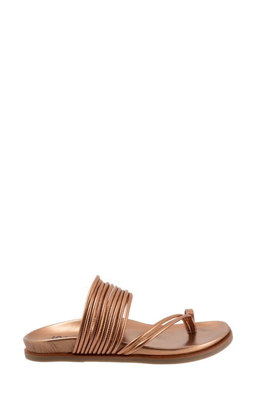 Shop Eos Footwear Carmella Toe Loop Sandal In Copper