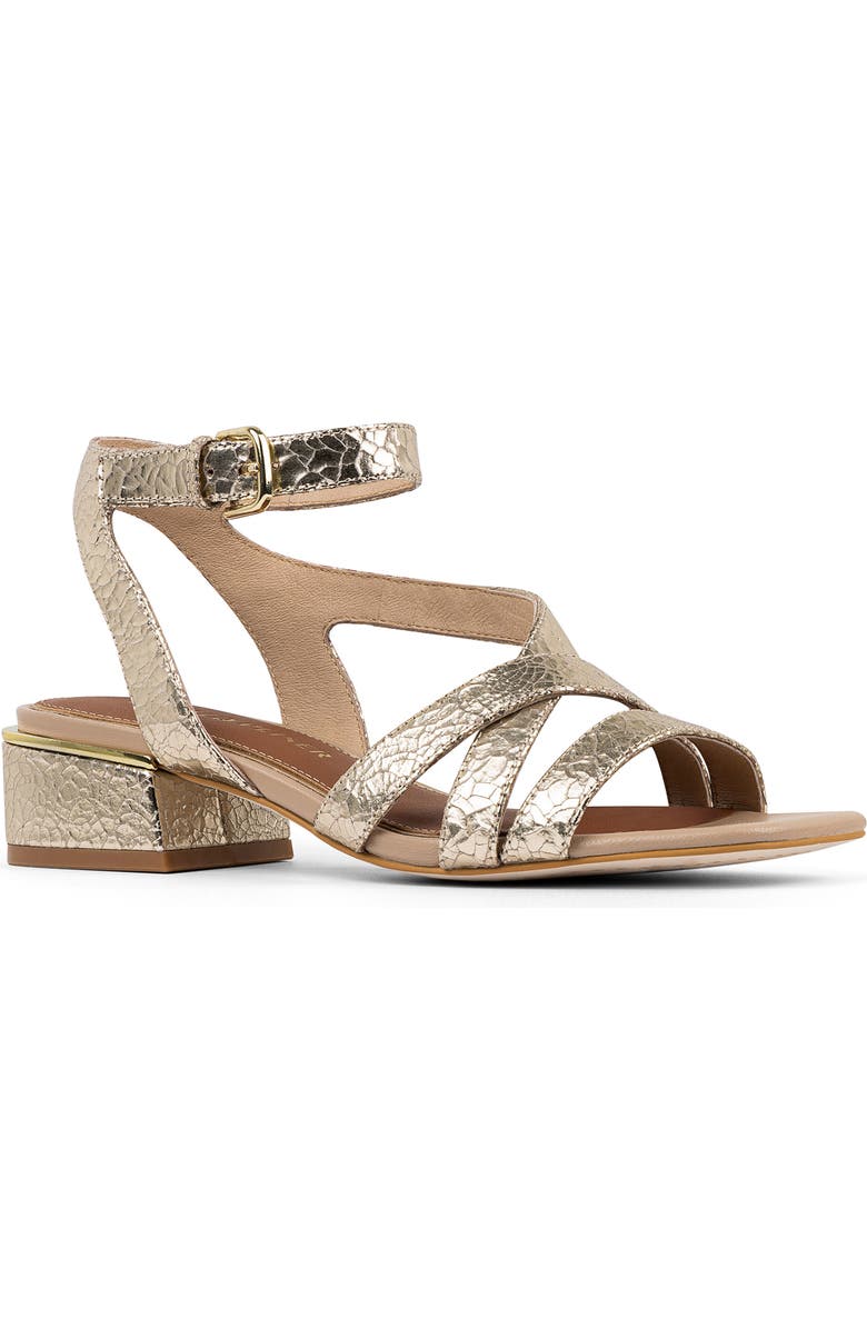 Donald Pliner Frannie Ankle Strap Sandal, Main, color, Platino