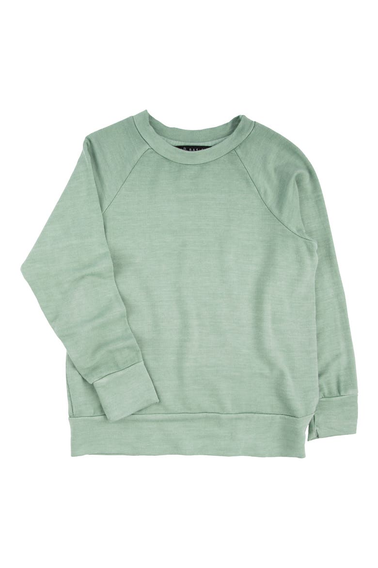Kids' Iggy Cotton Crewneck Sweatshirt, Main, color, CROCODILE