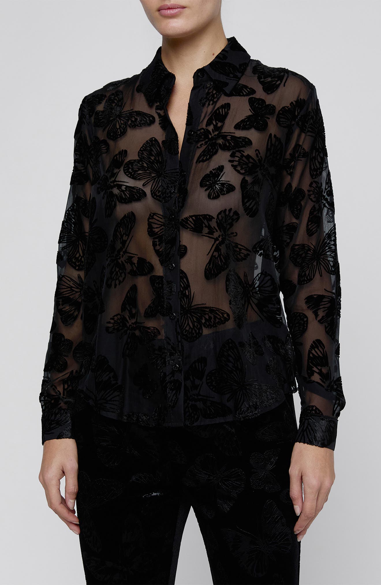 selected BLACK BUTTERFLY