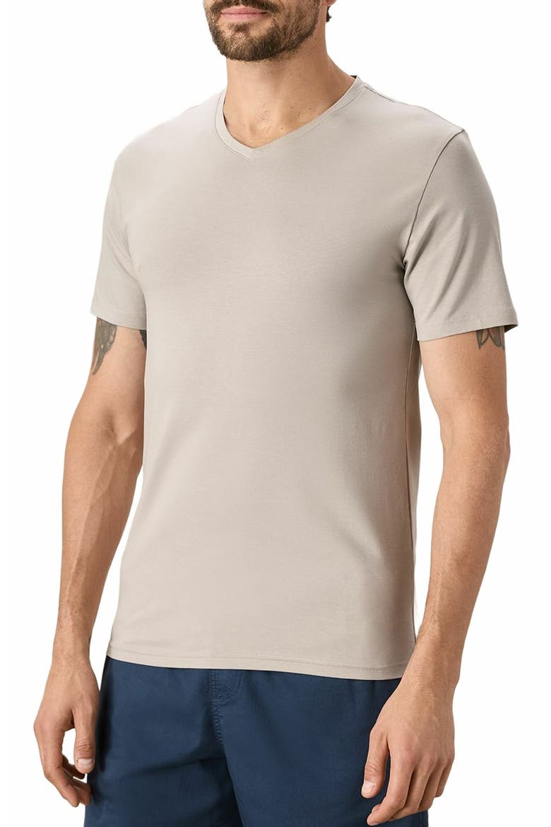 Luxe Stretch Jersey Slim V-Neck Tee, Alternate, color, Nickel