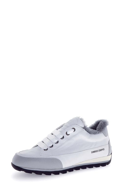Candice Cooper Runlo Genuine Shearling Lined Sneaker In Gray