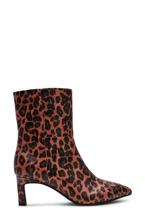 Dolce Vita Dv By Gradie Kitten Heel Boot In Brown