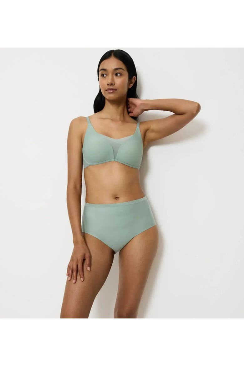 Shape Smart High-Waisted Shaping Brief, Alternate, color, Toasted Almond