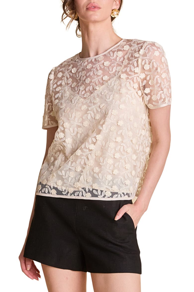 Embroidered Mesh Top, Main, color, IVORY