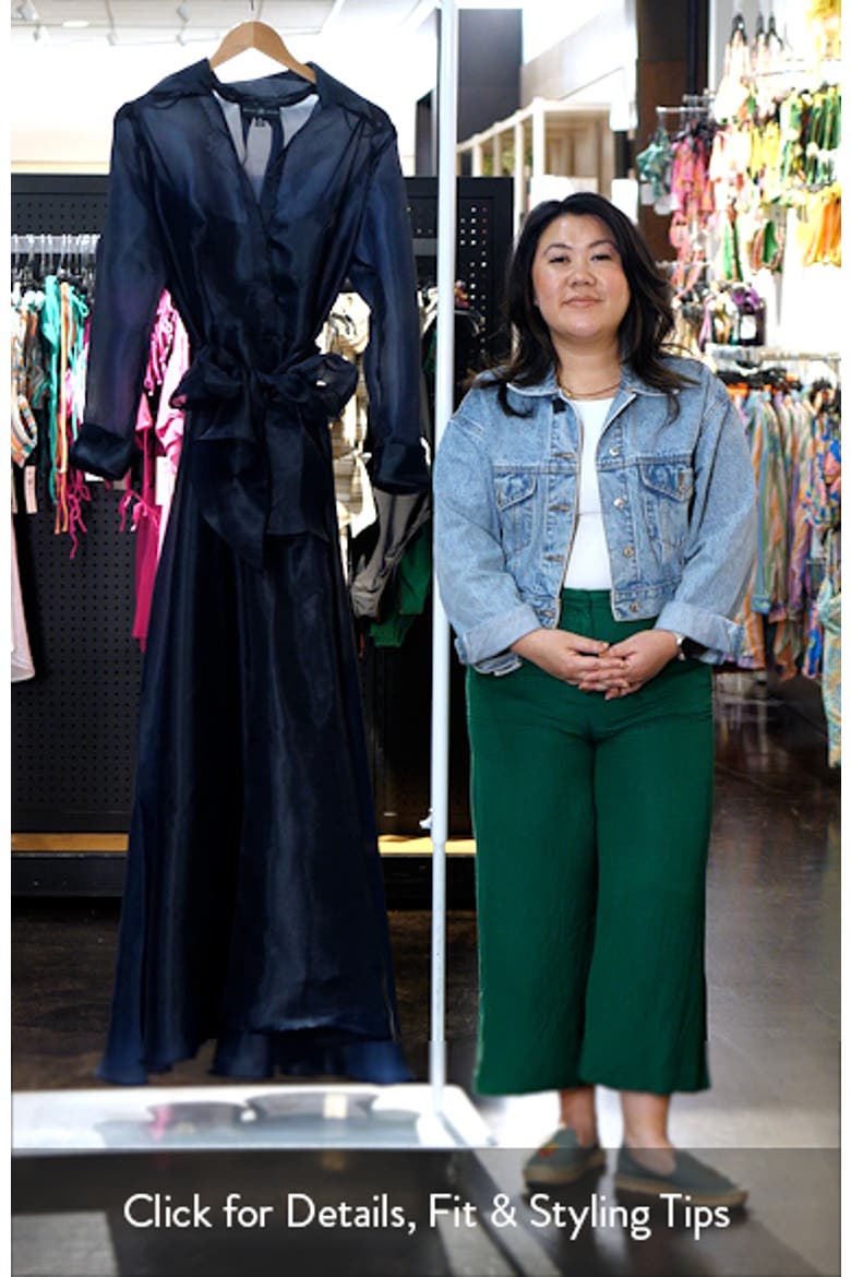 Long Sleeve Organza Dress video