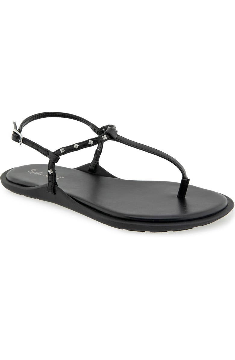 Splendid Asher Studded T-Strap Sandal, Main, color, Black