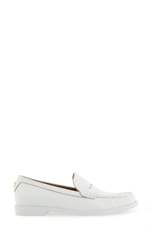 AEROSOLES AEROSOLES SIENNA PENNY LOAFER