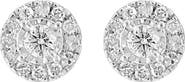 EFFY Diamond Stud Earrings
