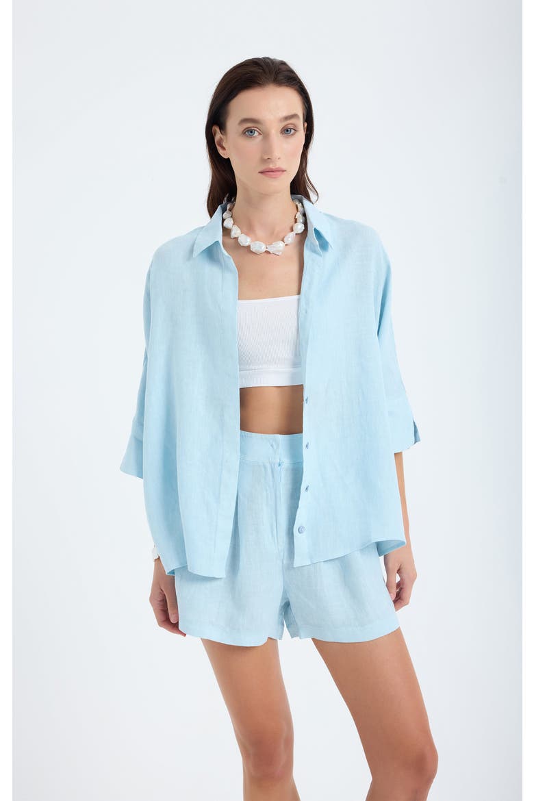 Iyan 100% Linen Oversize Shirt, Alternate, color, Blue