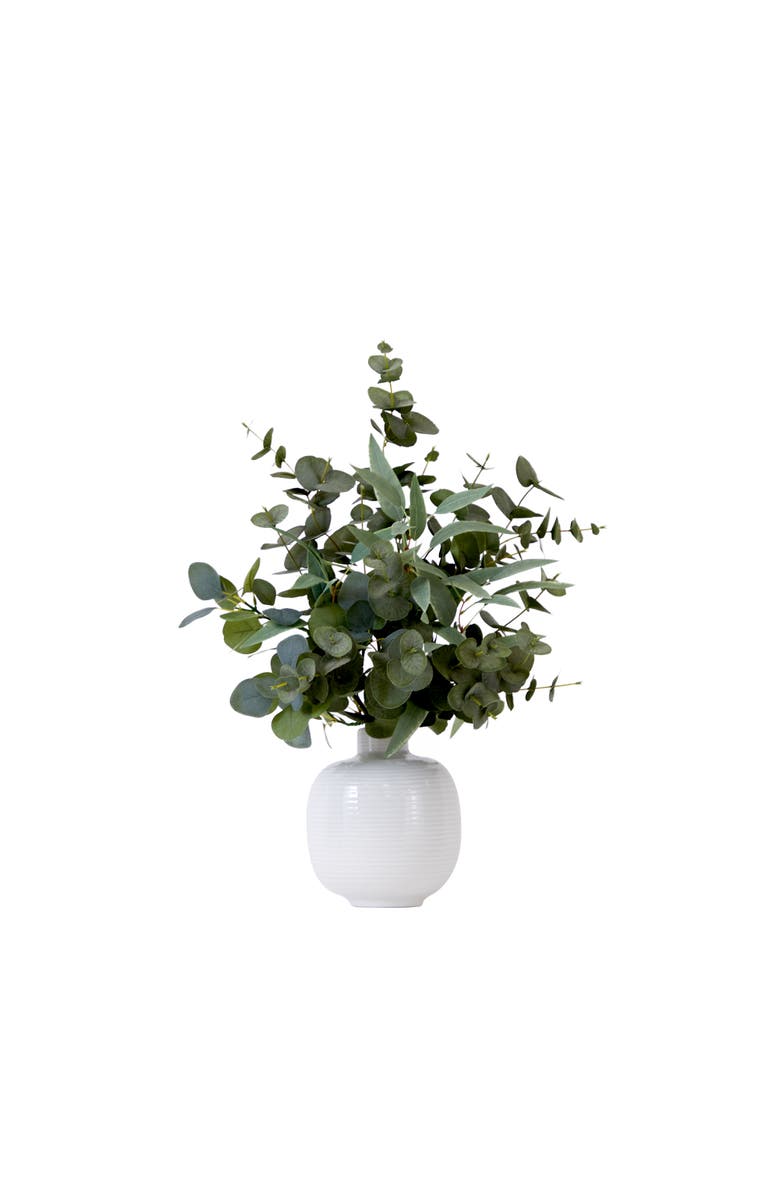 NEARLY NATURAL 24-in Artificial Eucalyptus Leaves Arrangement with Ceramic Planter, Main, color, Green