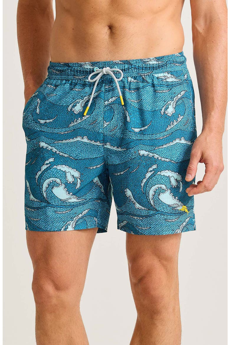 Naples Wavescape Oasis Board Shorts, Main, color, CONTINENTAL