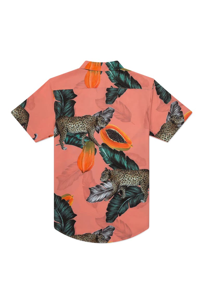 Tailored Fit Fruta Bomba Waterproof Short Sleeve Performance Button-Up Shirt, Alternate, color, CORAL