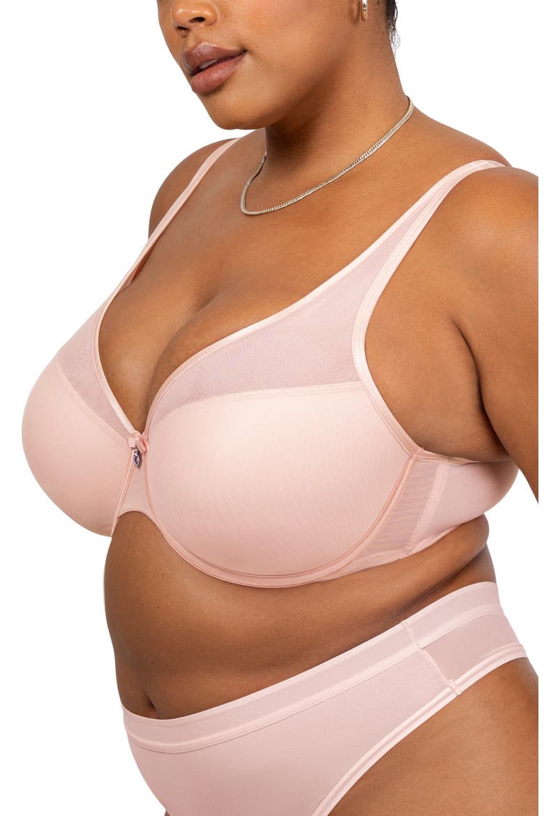 Sheer Mesh Plunge T-Shirt Bra, Alternate, color, BLUSHING ROSE