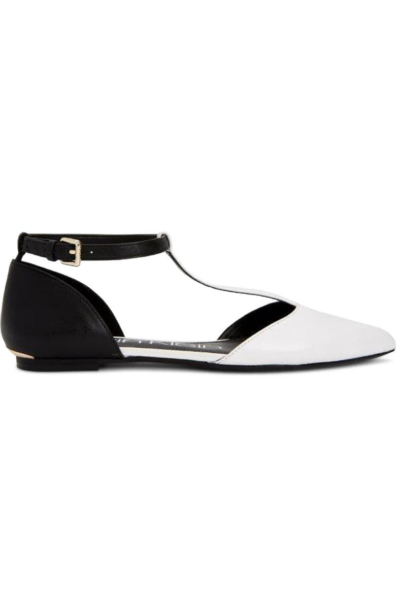 Calvin Klein 'Ghita' T-Strap Flat, Alternate, color,