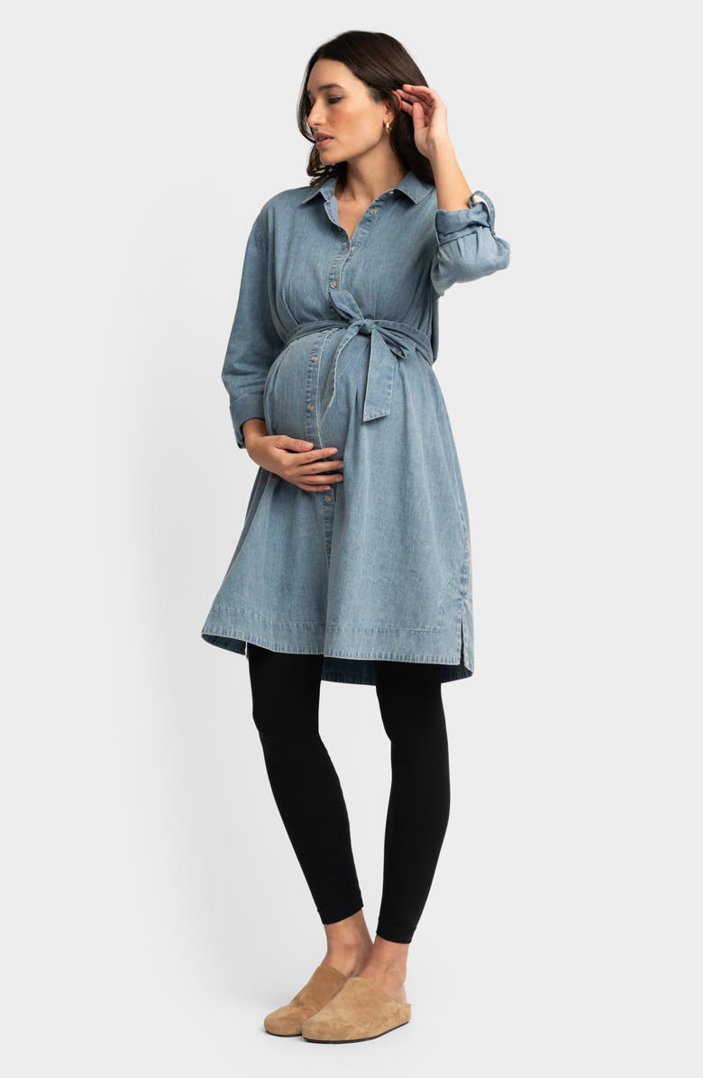 Seraphine Long Sleeve Chambray Maternity Shirtdress, Alternate, color, 