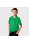  Elf Green