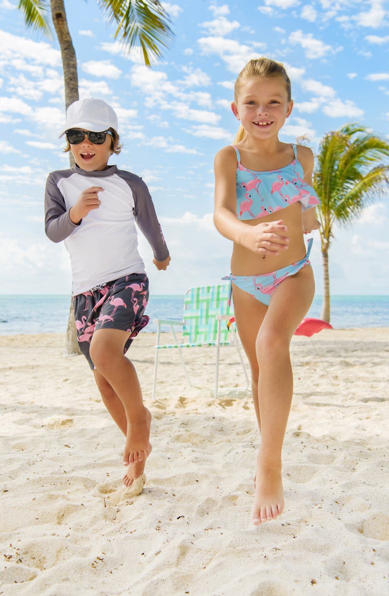 Snapper Rock Flamingo Social Swim Trunks, Alternate, color,