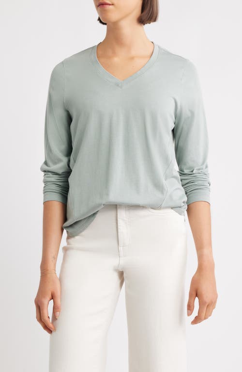 City Blues Beth Long Sleeve T-shirt In Gray
