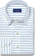 David Donahue Barre Stripe Slub Cotton Button-Up Shirt