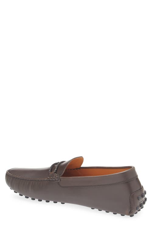 Tod's Morsetto Club Gommino Loafer