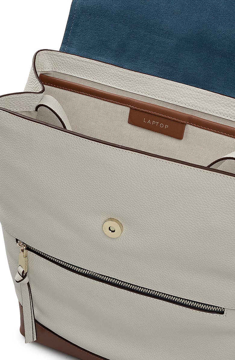 Radley Albion Street Colorblock Backpack, Alternate, color, Snow