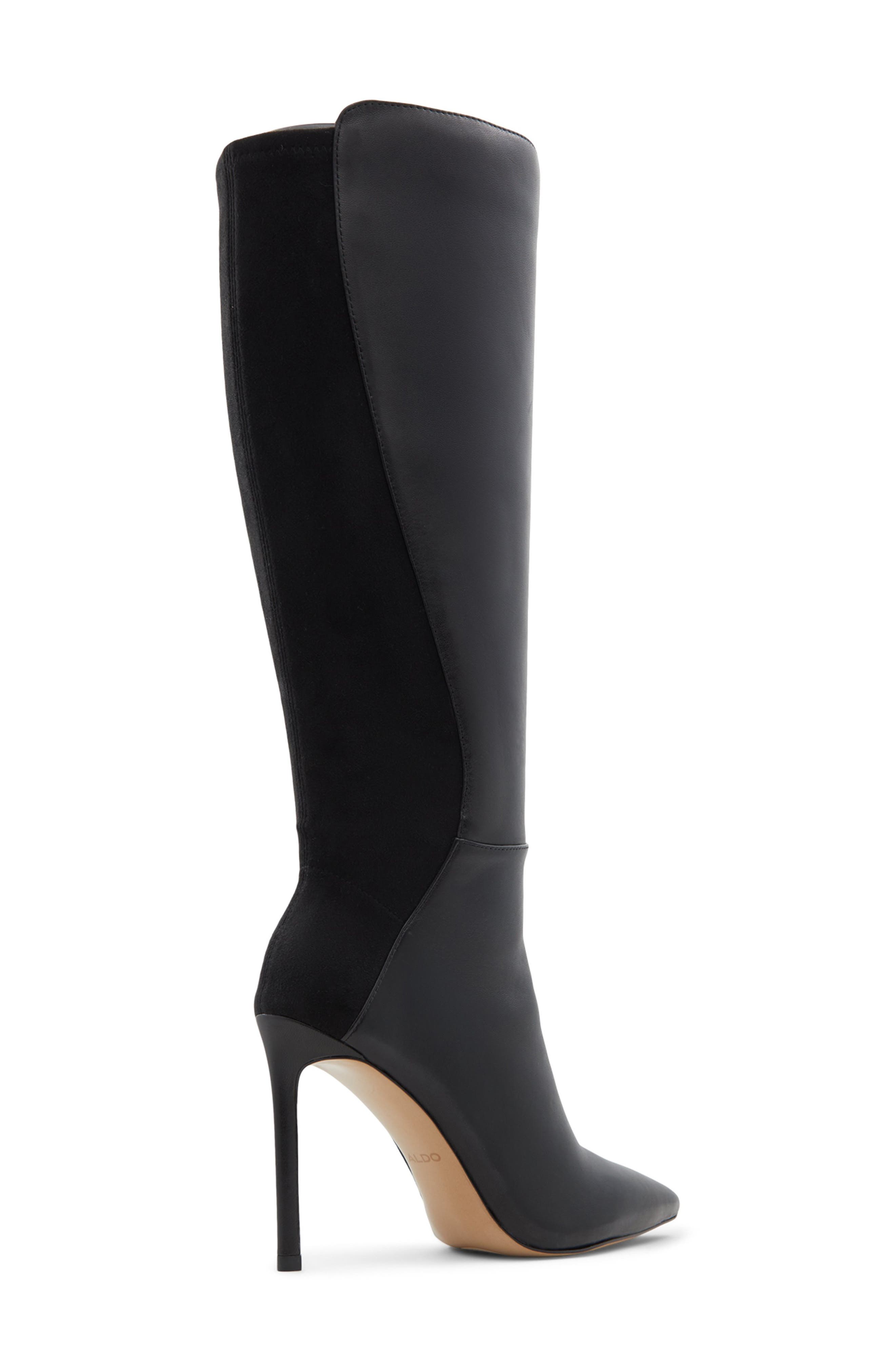 ALDO Milann Pointed Toe Knee High Boot, Alternate, color, 