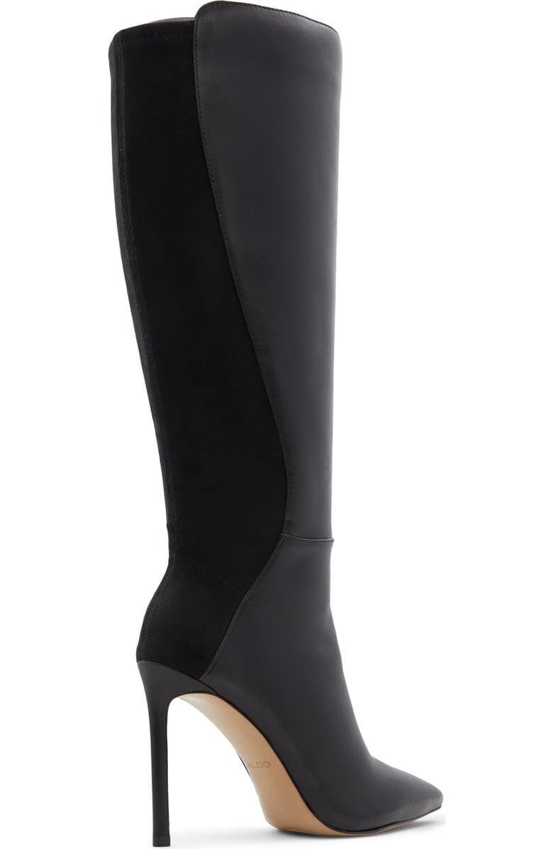 ALDO Milann Pointed Toe Knee High Boot, Alternate, color,