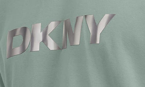 DKNY SPORTSWEAR DKNY SPORTSWEAR ALDO GRAPHIC T-SHIRT