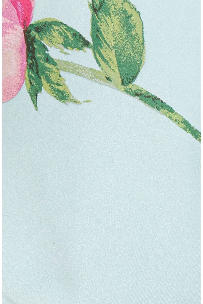 Darling Floral Maxi Dress, Alternate, color, ROSE MINT FLORAL