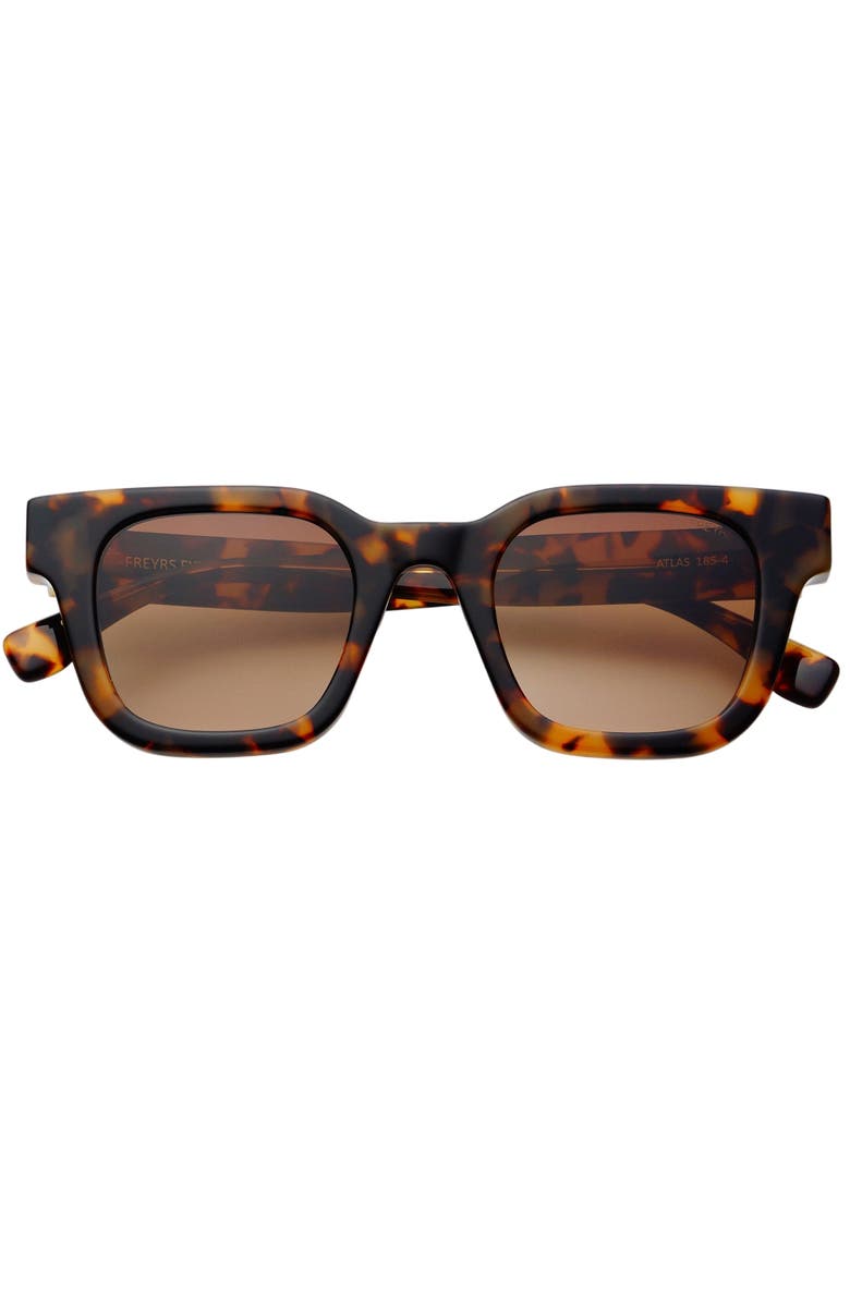 FREYRS Eyewear Atlas Square Sunglasses, Main, color, Tortoise / Brown