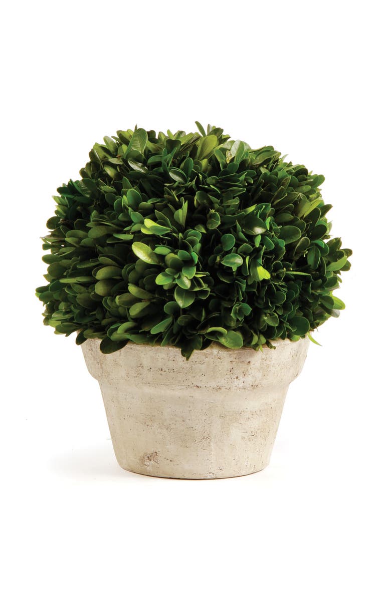 Napa Home & Garden Boxwood Ball In Pot Medium, Main, color, Beige