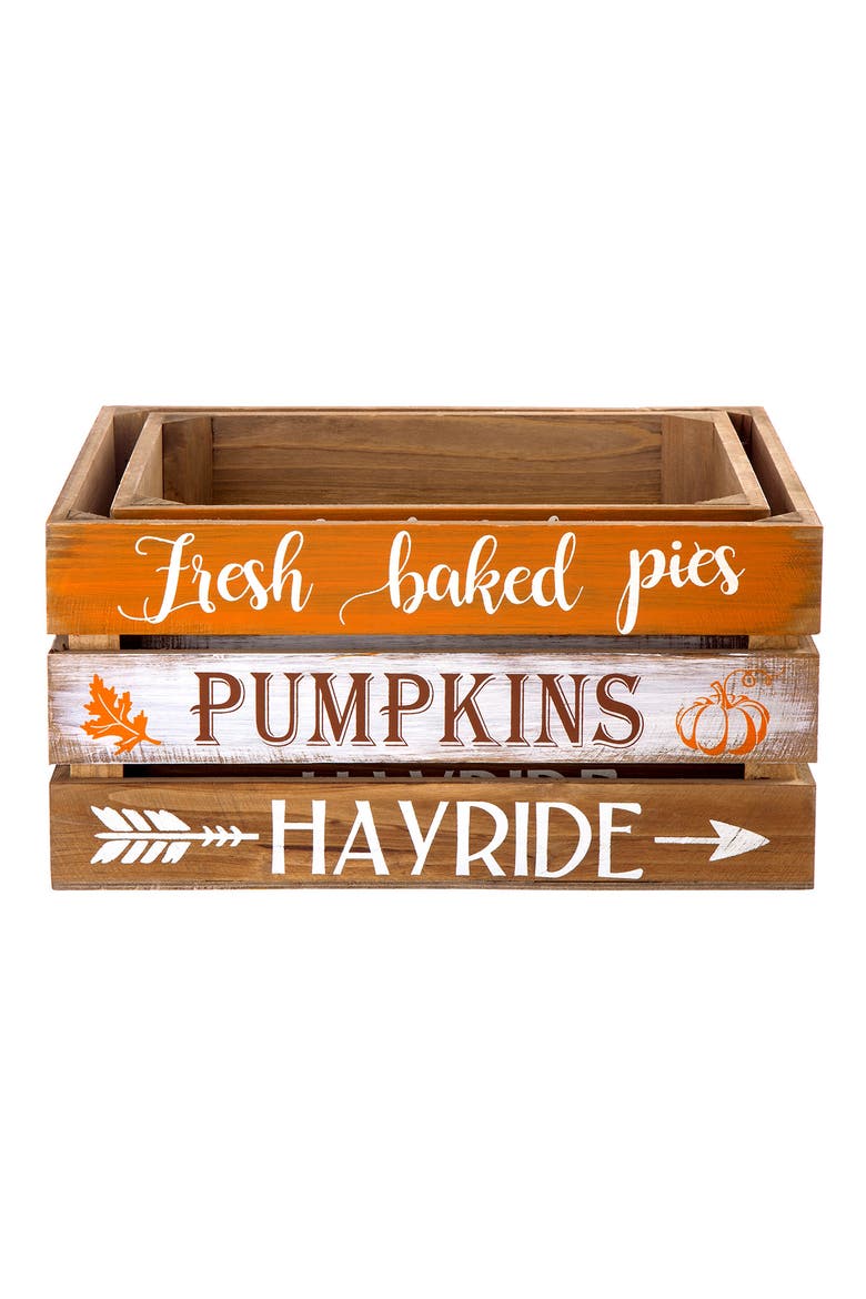 Set of 2 Wooden Pumpkin Crates Table Decor, Alternate, color, Orange