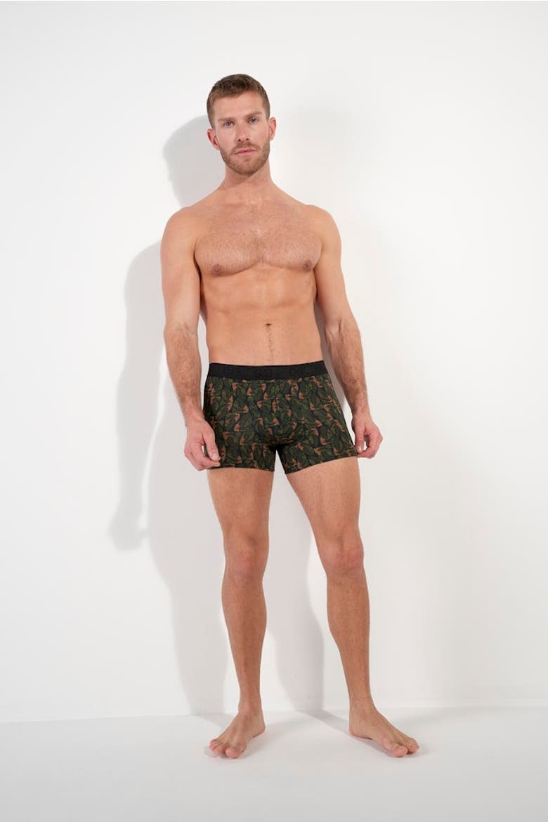 Vizzavona Boxer Briefs, Alternate, color, Khaki Print